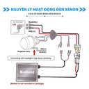 Bóng Xenon D4S 35W P32D-5 4X1 NX4S Hiệu Neolux 4300K / 3200lm  NX4S Hiệu NEOLUX